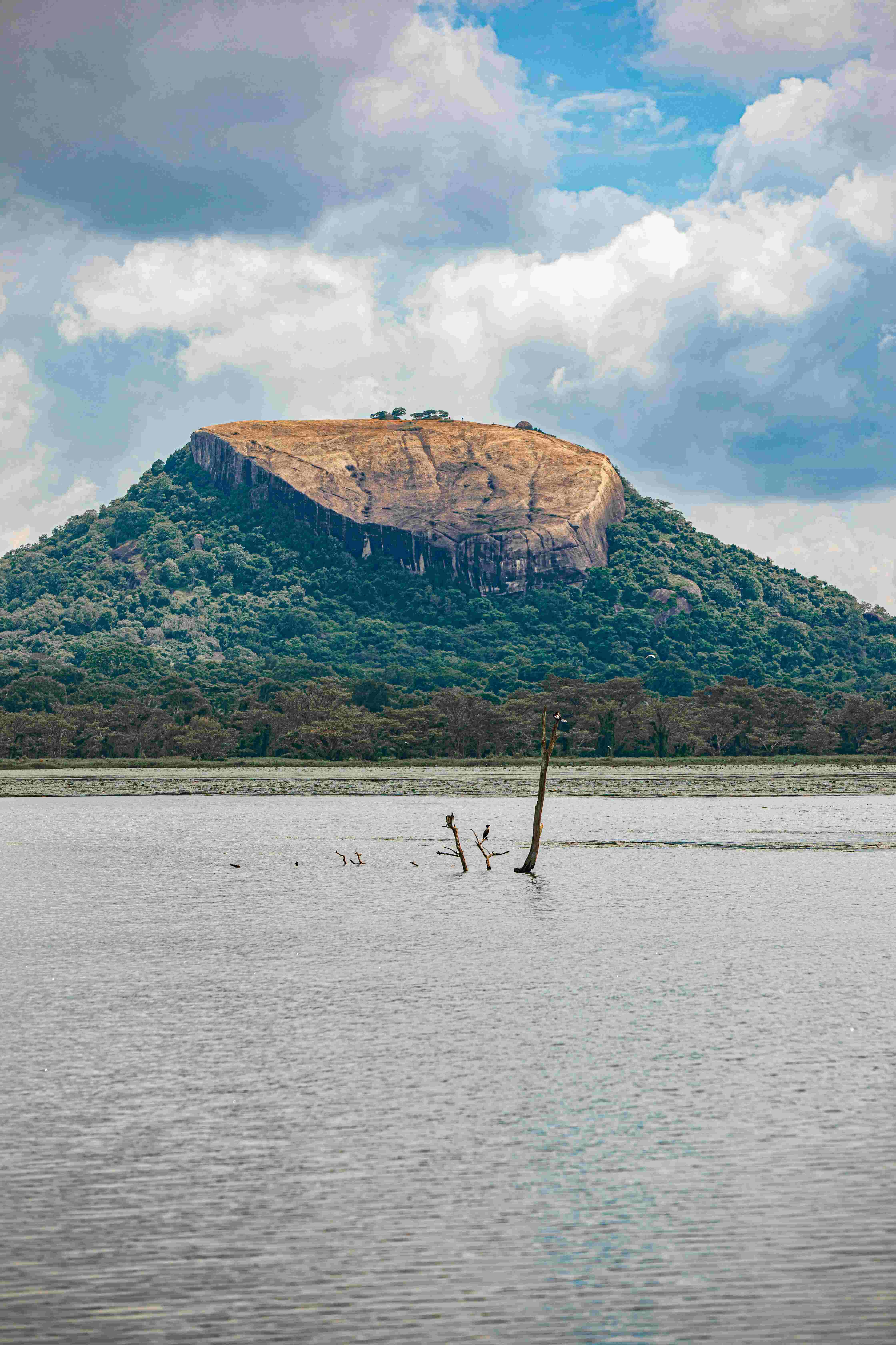 Dutch Fort